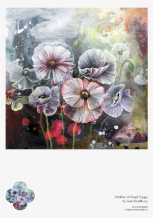 Tree Mallow
