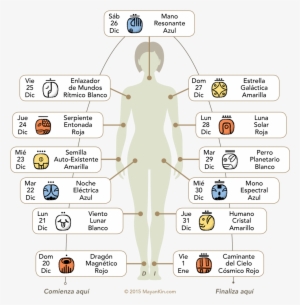 Mayan Calendar, Oracle Reading, Life Coach - Wavespell