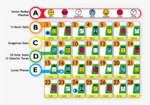 Graphic Showing A Whole Sample Moon From The 13 Moon - Moon Calendar