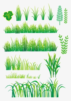 Bamboo And Grass Plant Vector - Vector Plants
