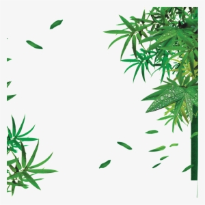 Bamboo Bamboo Leaves Hd Png - Bamboo Tree Hydroponic Plants Transparent Psd Water