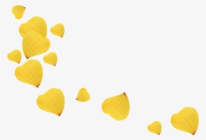 Scrap De Pétalos De Flores - Petal