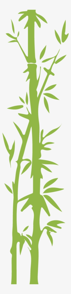 Giant Pandas Live In Central China In Some Mountain - Japanese Bamboo Transparent Background