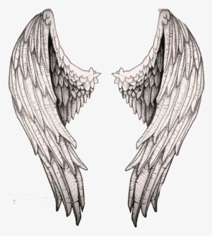 Técnicas De Dibujo, Dibujo Cuerpo, Manos Dibujo, Acuarela, - Alas De Angeles Dibujo A Lapiz