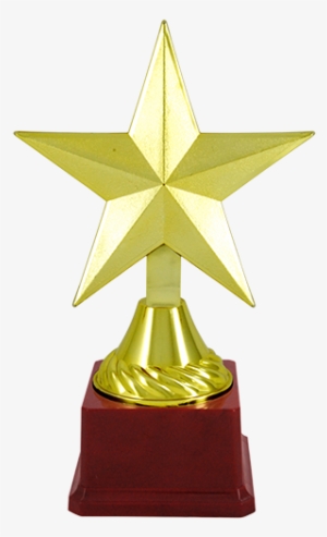 Bt-1493 Star Shaped Trophies - Mumbai