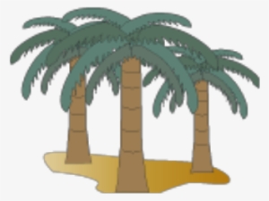 Group Of Palm Trees - Babassu