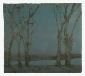 Birch