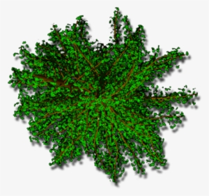 294k Willowtop400c Hrc 06 Feb 2009 - Circle