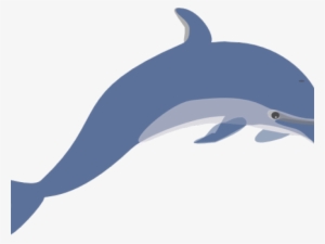 Dolphin Clipart Jpeg - Dolphin Clip Art
