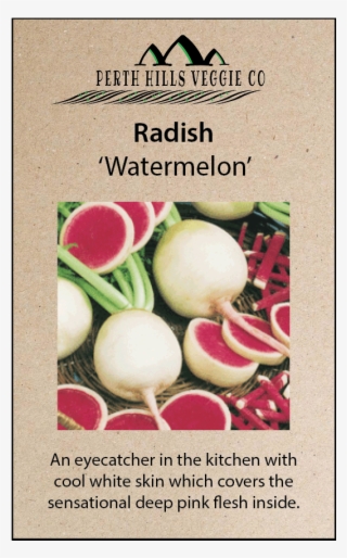 Radish 'watermelon' - Watermelon Red Radish 200 + Seeds Garden Fresh Pack