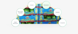 Origene Seeds Lead To A Significant Contribution For - Cartoon