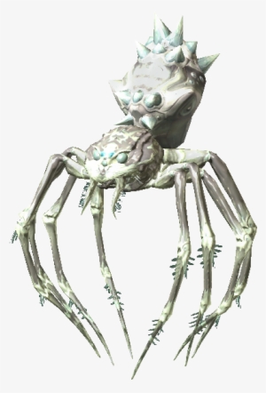 Effect - Паук Альбинос Скайрим