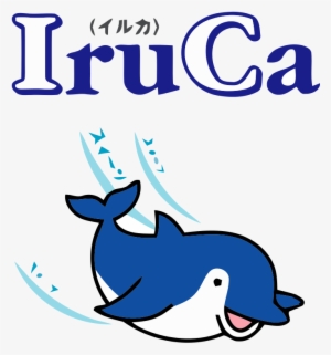 Dolphins Clipart File - Iruca