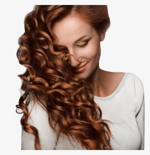 Vizeri Beauty Best Sulfate Free Argan Oil Shampoo And