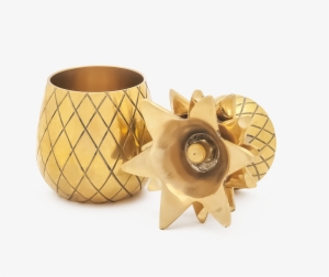 Pineapple Shot Glass Set - Pineapple Tumblr Shot Glasses
