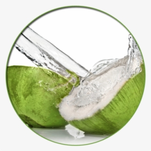 Young Coconut Water