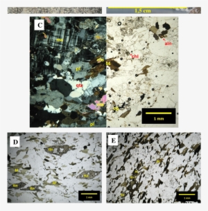 Comum Na Fácies Fina; B) Granodiorito Da Parte Central - Granite