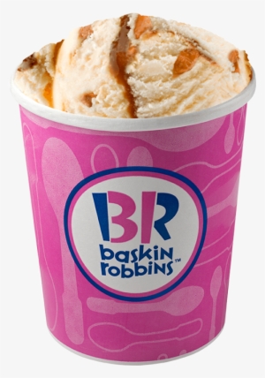Hopscotch Butterscotch - Baskin Robbins Ice Cream Bavarian Chocolate