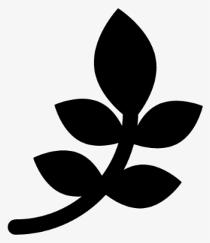 Branch With Leaves Vector - Nature Symbol Png