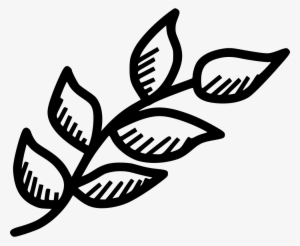 Branch Leaf Leaves Spring Decoration Nature Plant Comments - Nature Plants