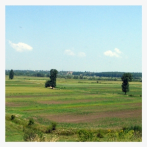 1 Romania Pic 1 - T1v 1x1