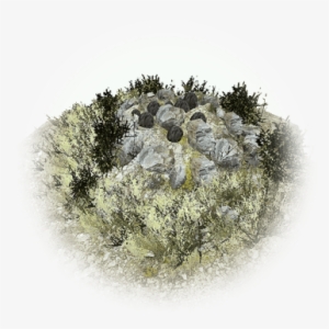 Stoneback Crab - Igneous Rock