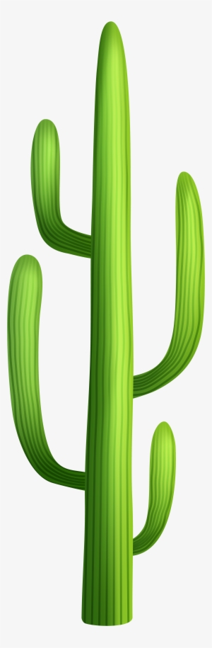 Cactus Clipart Transparent