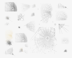Fuente - Deviantart - Com - Sketch