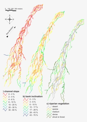 Visualization Of Selected Morphological Parameters - Diagram
