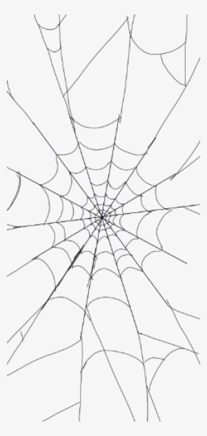 Spider's Freetoedit Spider - Spider Web