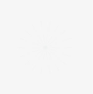 White Spider Web Png