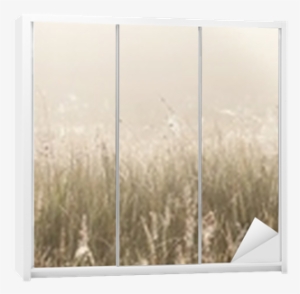 Grass Field With Spider Webs Wardrobe Sticker • Pixers® - Field