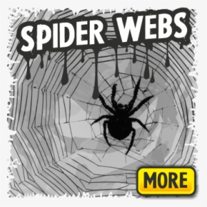 Spiderwebs And Spider Decorations For Halloween - Spider Web