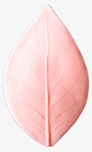 Rose Leaf - Ham