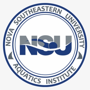 Clock With Clear Background