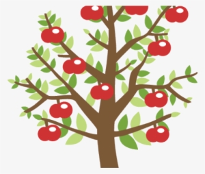 Apples On Tree Transparent