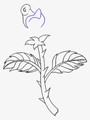 How To Draw Rose With A Stem - Drawing