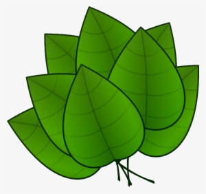 Folha Em Png - Parts Of Plants Leaves