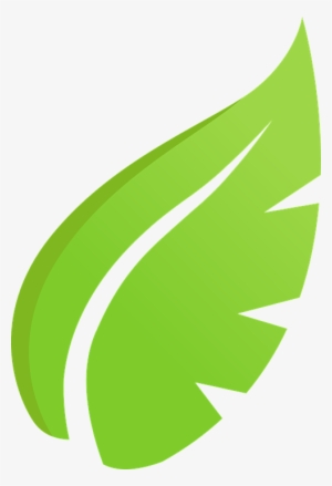 Desenho Folha Png - Hoja