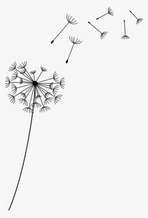 About Ecobin - Ecobin - Dandelion Seeds Transparent Background