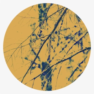 Lisbon Docs International Financing And Co-production - Circle