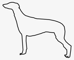 Open - Rampur Greyhound