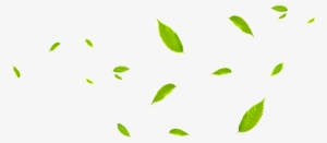 Png De Folha De Folha Verde - Leaves Fly