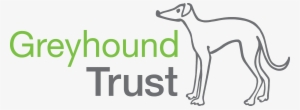 The Greyhound Trust Urgently Needs The Help Of People - Greyhound Trust