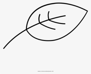 Leaf Coloring Page - Desenho Folha Para Pintar