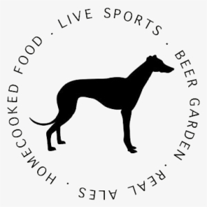 The Greyhound - Haqihana Harness