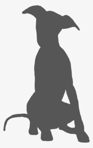 Google Search - Whippet Silhouette