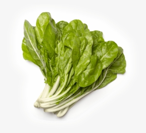 Acelgas Extra Manojo - Roman Lettuce