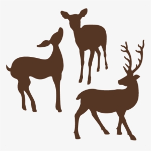 Deer Svg Cut File For Scrapbooking Free Svgs Free Svg - Free Svg Deer