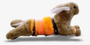 24/7 - Greyhound Racing